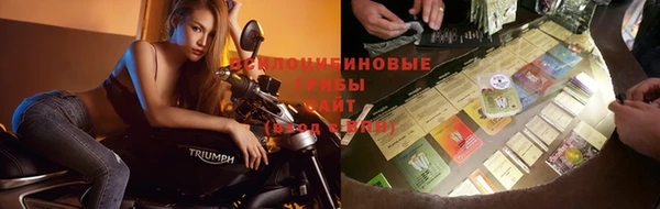 mdpv Баксан