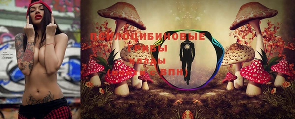 гидропоника Балахна