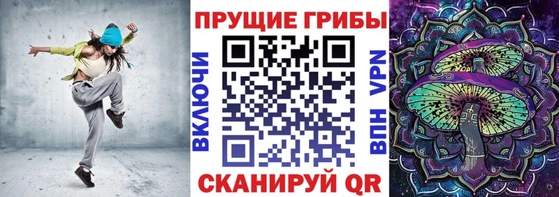 Псилоцибиновые грибы Psilocybe  Закаменск 